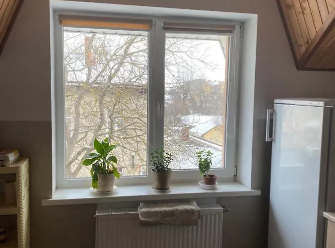 Hostel домашній затишок *
